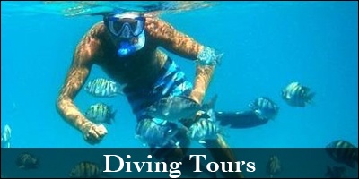 VIP Party Tamarindo - Diving Tours