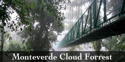 Monteverde Cloud Forest