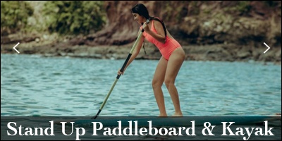 Paddle Boarding in the ocean